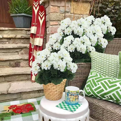 🌸 Last Day 50% OFF – UV Resistant Artificial Geranium Flowers for Outdoors & Home Decor